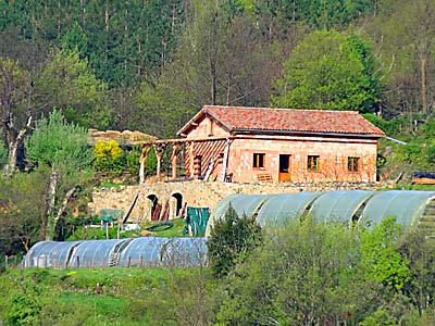 Ferienhaus