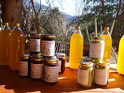 Bioprodukte
