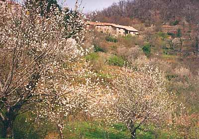 Ferienhaus Ardeche