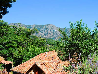 Valos